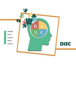 تست دیسک (DISC)|تستشو